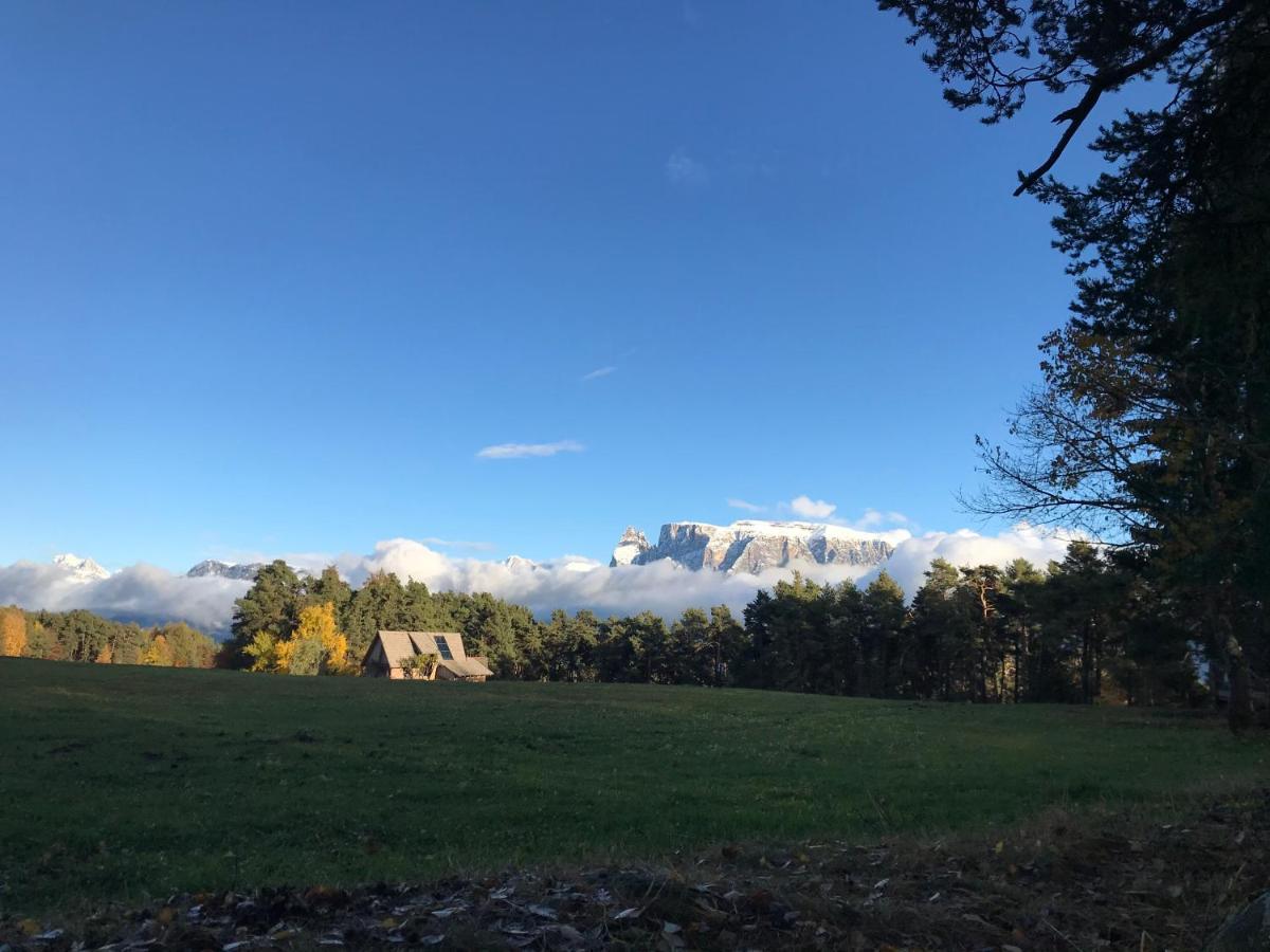 Wiesenhof Collalbo Eksteriør billede